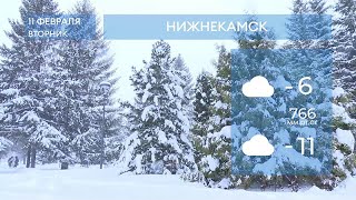 Прогноз погоды в Нижнекамске на 11-е февраля 2025 года