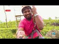 sembuwatta lake zipline budget zipline in sri lanka travel diaries 02