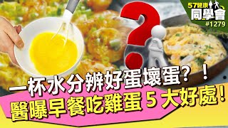 一杯水分辨好蛋壞蛋？！醫曝早餐吃雞蛋５大好處！【57健康同學會】｜隋安德 許晶晶 陳聲平 謝宜芳 Stanley 郭雅芸 Paul