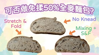 麵包研究室(23)一 可否用免揉法做岀50%全麥麵包? (Can we make a 50% whole wheat no knead bread?)