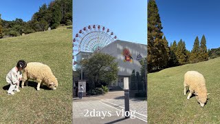 【2days vlog】久しぶりの羊さん🐑🤍はじめてのアンパンマンミュージアムで疲労困憊💭