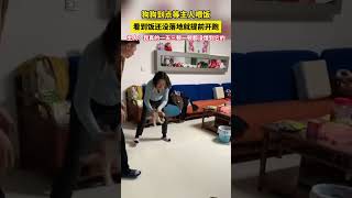 狗狗：好險！差一點就餓死了……😂😂#狗狗 #萌宠 #搞笑 #搞笑视频 #chinatiktok #shorts