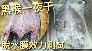 Black croaker(Atrobucca nibe) fish to make grilled fish, and test the effect of dehydrating film.