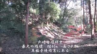 戸崎古墳群から13号墳他（君津市）（千葉県）（後期）Tosaki No.13 Tumulus ＆others