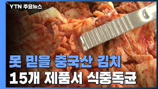 중국산 김치 검사 강화했더니...15개 제품서 식중독균 / YTN