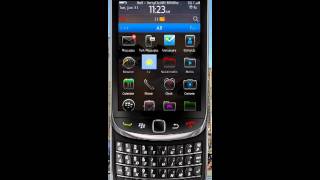 BlackBerry Search Feature OS 6 and 7