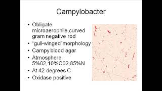 Microbiology Review Part 2