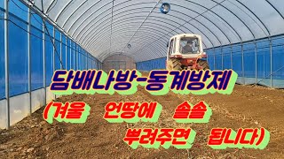 기존 사용하던 토양살충제 보다 효과가 더 좋다고 해서 올해는 이걸로 동계부터 담배나방 방제 시작합니다