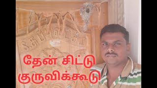 Honey Bird Nest Making தேன் சிட்டு குருவி கூடு கட்டும் அரிய காட்சி