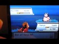 How To Catch Miltank in Heart Gold and Soul Silver