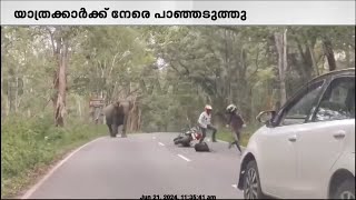 വയനാട്ടിൽ ബൈക്ക് യാത്രികർക്കു നേരെ പാഞ്ഞടുത്ത് കാട്ടാനകൾ | Wayanad