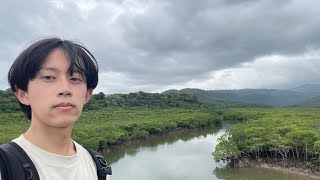 絶景のビーチでカニを捕まえる【沖縄県 西表島,由布島】