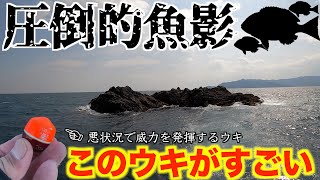 【三重県・白浦磯】春の尾長狙いのはずまさかの展開！？大征黒・沈めフリーパス釣法で口太グレ爆釣！！