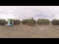 Miravis Neo Fungicide 360 Virtual Field Tour