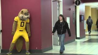 Don't Be Scared! Goldy Gopher Scares People