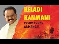 Keladi Kanmani | Pudhu Pudhu Arthangal | 24 Bit Song | Ilayaraja | SPB