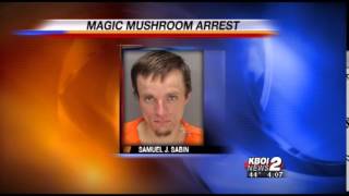 Hailey Man Caught With Magic Mushrooms