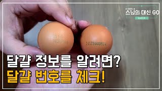 (아인)스님의 대신 GO -  달걀 정보를 알려면? - 달걀 번호를 체크!