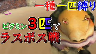 【ゆっくり実況】ピクミン３匹でラスボス撃破なるか！？【ピクミン１】【一種一匹縛り】#3