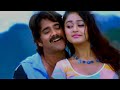 Hello Basu Video Song | Boss Movie | Nagarjuna, Poonam Bajwa | VolgaMusicBox