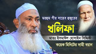 মরহুম পীর সাহেব হুজুরের খলিফা | মাওঃ ইসমাঈল হোসাইন সিদ্দিকী হুজুরের কয়েক মিনিটের দামী বয়ান