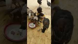 Le combat du petit garçon pour garder sa bouffe lol