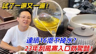 连续16泡不掉水？23年刮风寨入口就惊艳！老高试了一遍又一遍！购茶请加微信/赖line：HDLG002#普洱茶#古树茶#老班章#古树茶#茶#茶叶#茶葉#古樹茶 #普洱茶wechat #tea