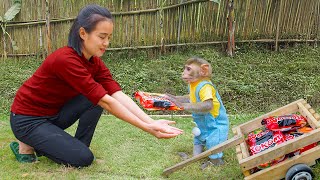 Watch Monkey MiMi Shop for Instant Noodles and Cook a Delicious Meal with Mom!