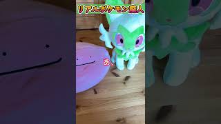 ポケモン廃人あるある　#shorts #ポケモン #pokemon #ポケカ #ダイパリメイク #剣盾 #funnyvideo #fyp