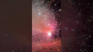 The heat shogun fireworks #shorts #fireworks