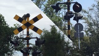 天竜浜名湖鉄道　警報灯の配置が更新された第三種踏切