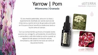 Yarrow Pom - Dúo botánico nutritivo activo - dōTERRA