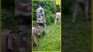 சீக்கிரமா நடங்க சார் , அம்மாவ பாக்கணும்ல..! || Elephant Viral Video || #Shorts
