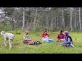 Hard Village Life in the High Mountains of Turkey. Documentary