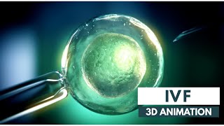 How IVF works | 3D Animation