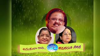 Chinukula Raali - Kanasalu Neene | Telugu Kannada Mash up by Anu | SPB, P Suseela, Vanijayram
