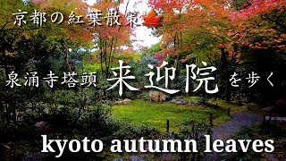 Kyoto Japan walk! /Wabi-Sabi tea house and small garden/Raigo-in Temple /泉涌寺塔頭来迎院の紅葉