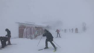 Massive Powder Day In Revelstoke