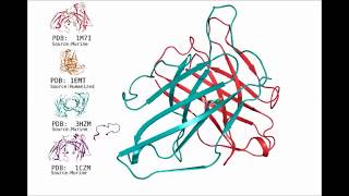 Principles for computational design of binding antibodies