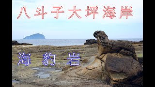 #信助哥愛分享の 基隆市八斗子大坪海岸海豹岩