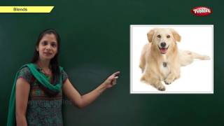 Phonics Chapter 6 : The Vowel Sounds | Learn Phonics For Kids | Phonics Classroom Teaching Lessons