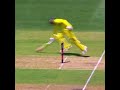 ravindra jadeja best catches u0026 runouts 🔥