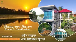 Mangrove Haven Resort - Best Resort in Sundarban (সুন্দরবনের গহীণে এক অসাধারণ রিসোর্ট )