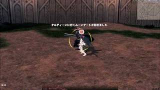 mabinogi(JP) - Taillteann shadow mission Defeat the shadow warrior rank hard 4/4