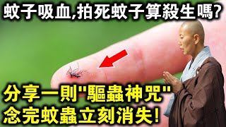 蚊子吸我血，拍死蚊子算殺生嗎？高僧道破輪回真相！分享一則“驅蟲神咒”，念完蚊蟲立刻消失，不殺生！