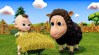 Baa Baa Black Sheep Song + More Nursery Rhymes & Kids Songs