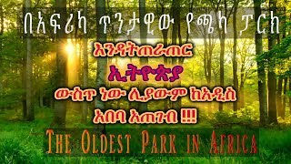 The Oldest Park in Africa | Suba Forest | 560 Years of Age Forest Hiking in the Amazing Forest ሱባ ጫካ