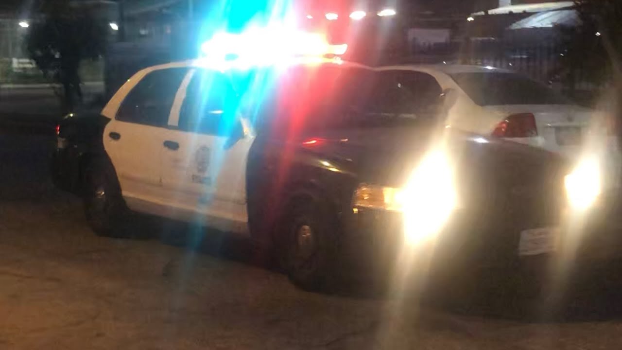 Lapd X3 Youtube
