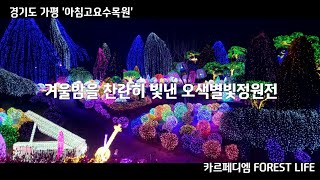 경기도 가평 아침고요수목원, 겨울밤을 찬란히 빛낸 '오색별빛정원전'