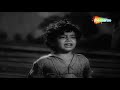 bandish movie sonia sahani shailendra singh bollywood popular hindi movie बंदिश हिंदी मूवी